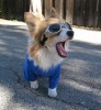 HiFriend 的头像